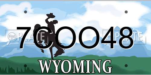 7COO48 Wyoming License Plate