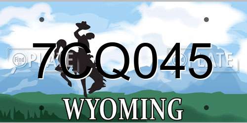 7CQ045 Wyoming License Plate