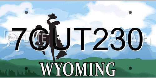7CUT230 Wyoming License Plate