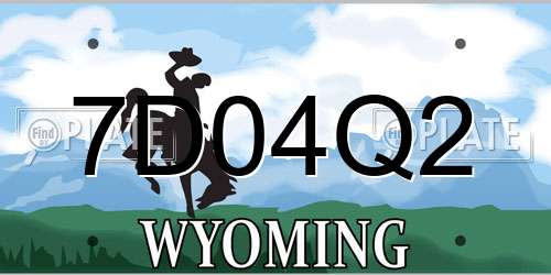 7D04Q2 Wyoming License Plate
