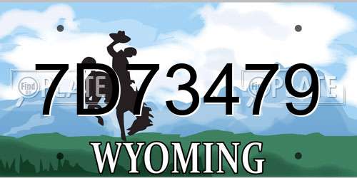 7D73479 Wyoming License Plate