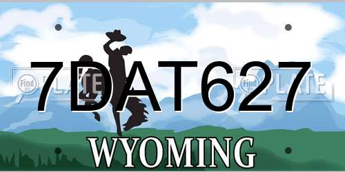 7DAT627 Wyoming License Plate
