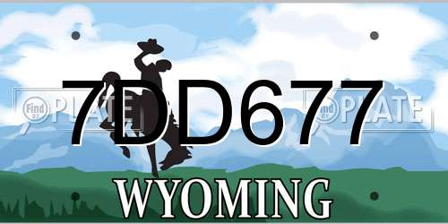 7DD677 Wyoming License Plate