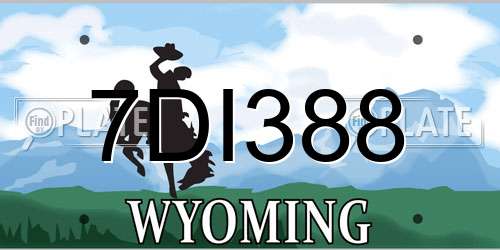 7DI388 Wyoming License Plate