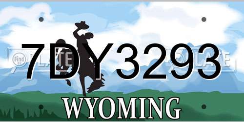 7DY3293 Wyoming License Plate