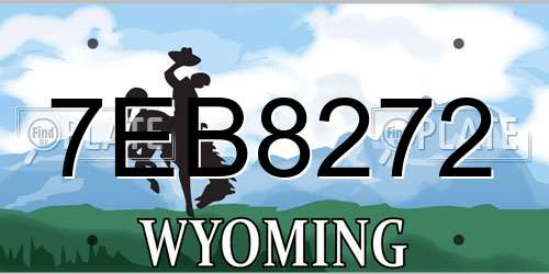 7EB8272 Wyoming License Plate