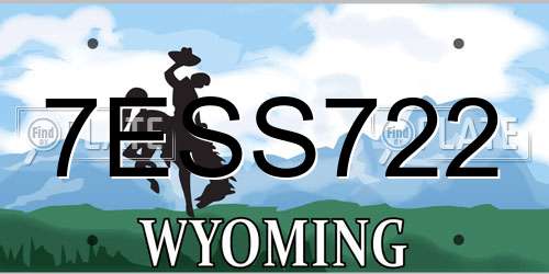 7ESS722 Wyoming License Plate