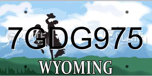 7GDG975 Wyoming License Plate