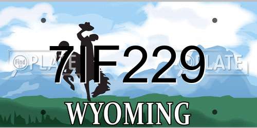 7IF229 Wyoming License Plate