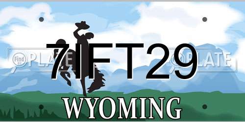 7IFT29 Wyoming License Plate