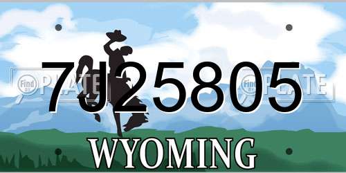 7J25805 Wyoming License Plate