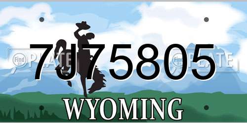 7J75805 Wyoming License Plate