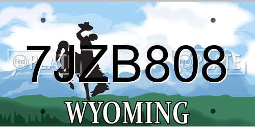 7JZB808 Wyoming License Plate