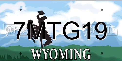 7MTG19 Wyoming License Plate