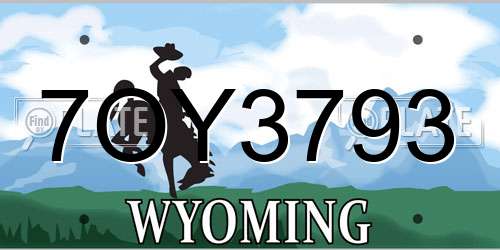 7OY3793 Wyoming License Plate
