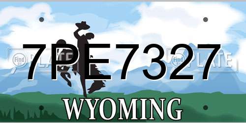 7PE7327 Wyoming License Plate