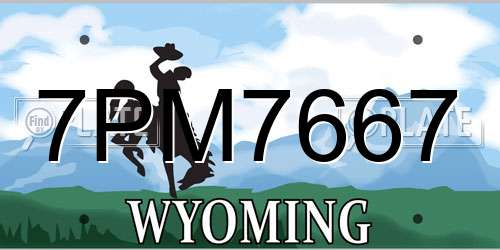 7PM7667 Wyoming License Plate