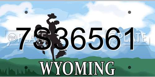 7S36561 Wyoming License Plate