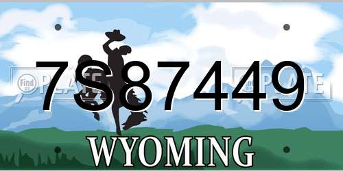 7S87449 Wyoming License Plate