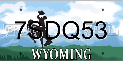 7SDQ53 Wyoming License Plate