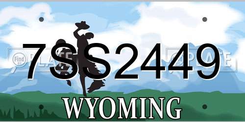 7SS2449 Wyoming License Plate
