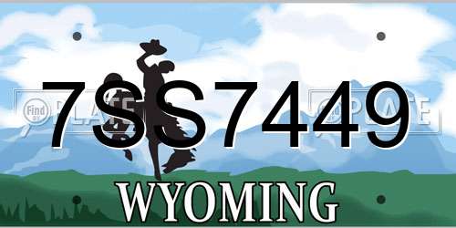 7SS7449 Wyoming License Plate