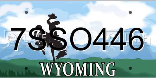 7SSO446 Wyoming License Plate