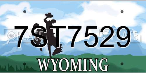 7ST7529 Wyoming License Plate