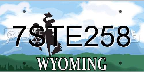 7STE258 Wyoming License Plate