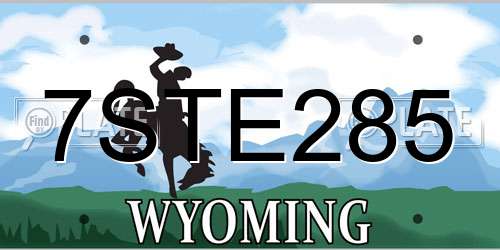 7STE285 Wyoming License Plate