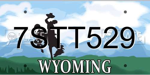 7STT529 Wyoming License Plate