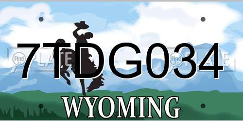 7TDG034 Wyoming License Plate