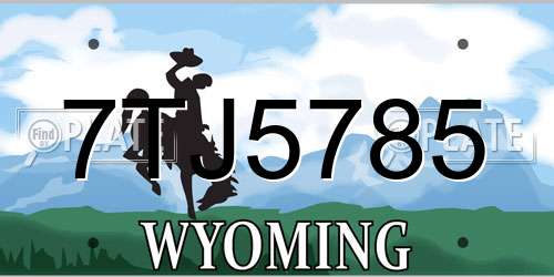 7TJ5785 Wyoming License Plate