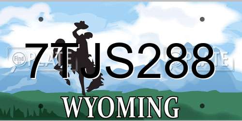 7TJS288 Wyoming License Plate