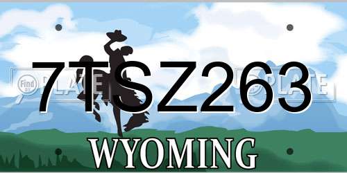 7TSZ263 Wyoming License Plate