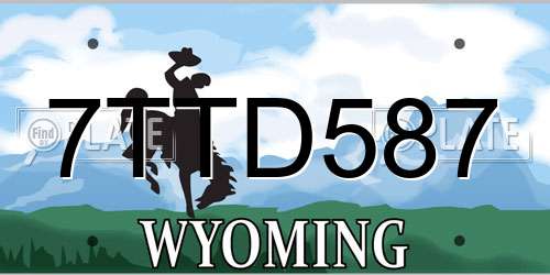 7TTD587 Wyoming License Plate