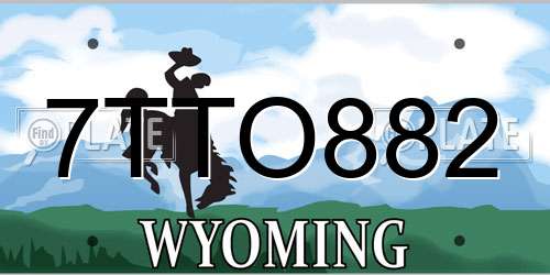 7TTO882 Wyoming License Plate