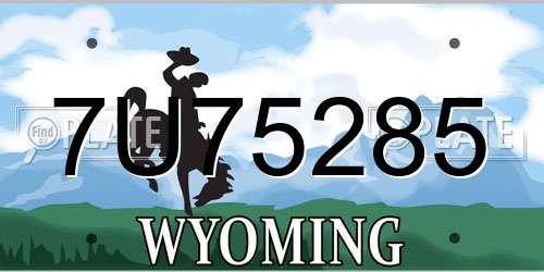 7U75285 Wyoming License Plate
