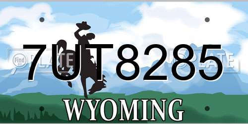 7UT8285 Wyoming License Plate
