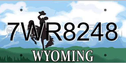 7WR8248 Wyoming License Plate