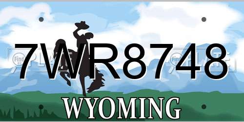 7WR8748 Wyoming License Plate