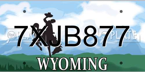 7XJB877 Wyoming License Plate