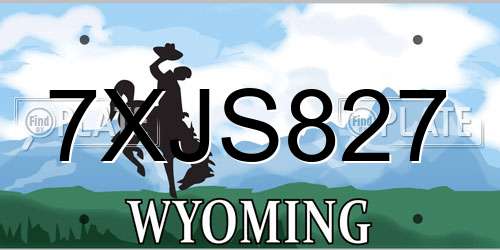 7XJS827 Wyoming License Plate