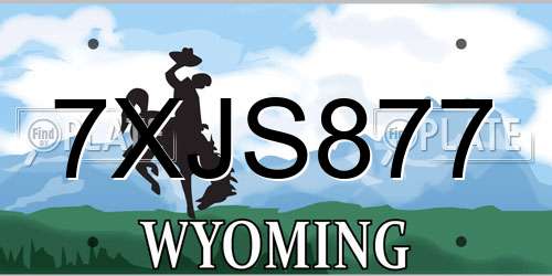 7XJS877 Wyoming License Plate