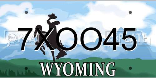 7XOO45 Wyoming License Plate