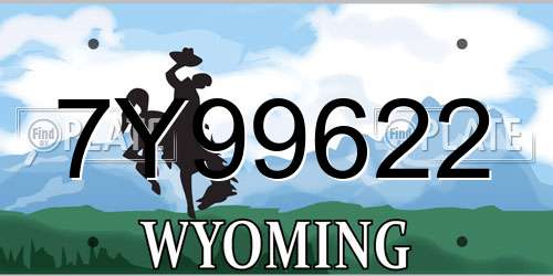 7Y99622 Wyoming License Plate