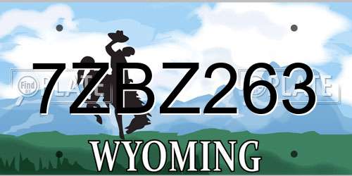 7ZBZ263 Wyoming License Plate