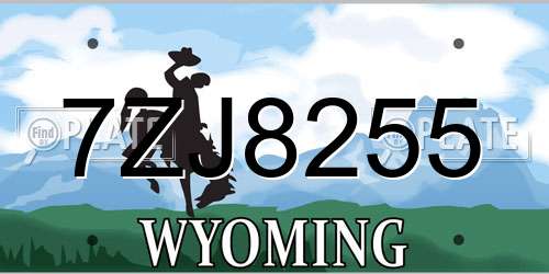 7ZJ8255 Wyoming License Plate