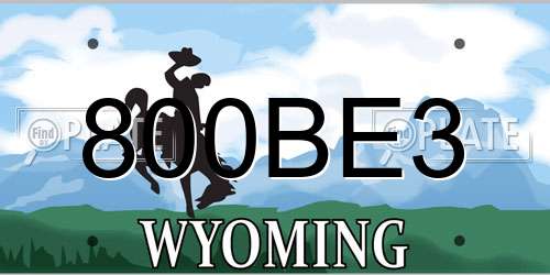 800BE3 Wyoming License Plate
