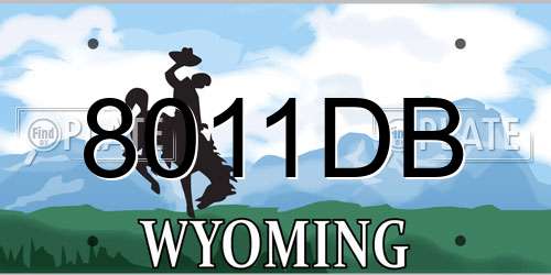 8011DB Wyoming License Plate